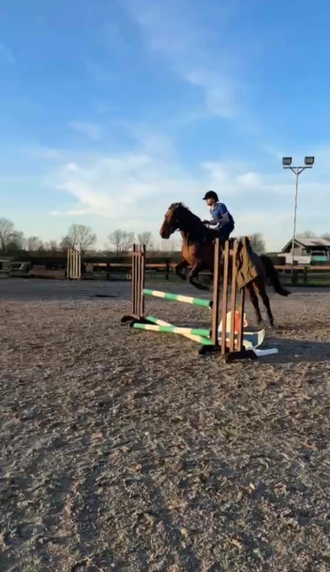 Schooling over coloured poles