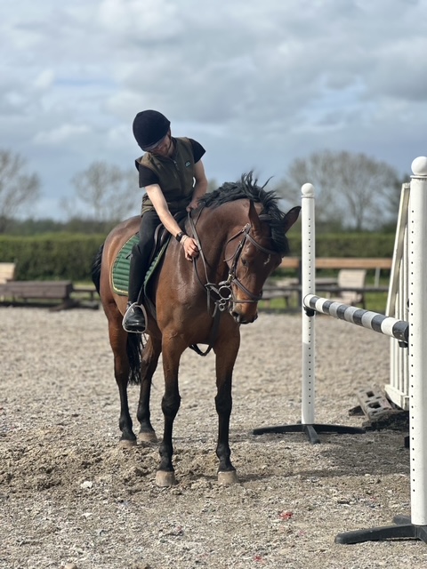 Competition arena